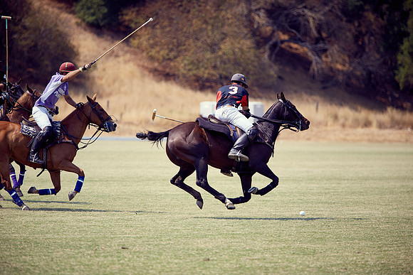 Oyster Cup Polo tournament