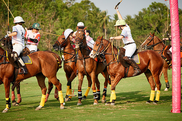 THAI-PINK-POLO-2019_DJ_2789