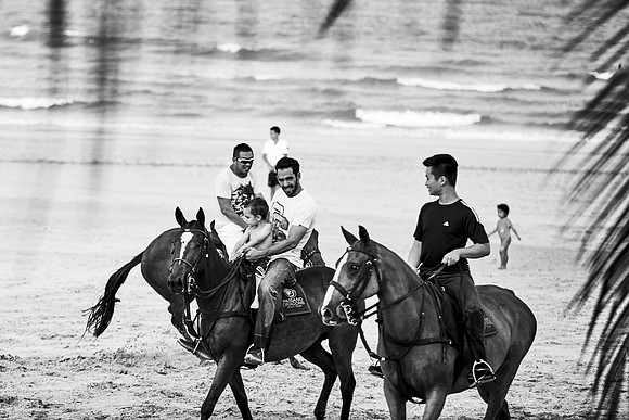 _DSC1479.ARW