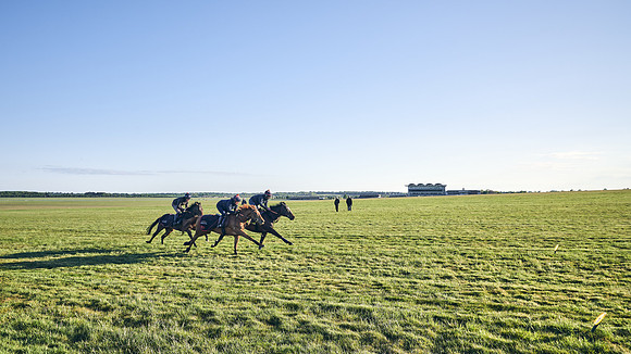 SUMMER GALLOPS-2nd-May-DJ-0940