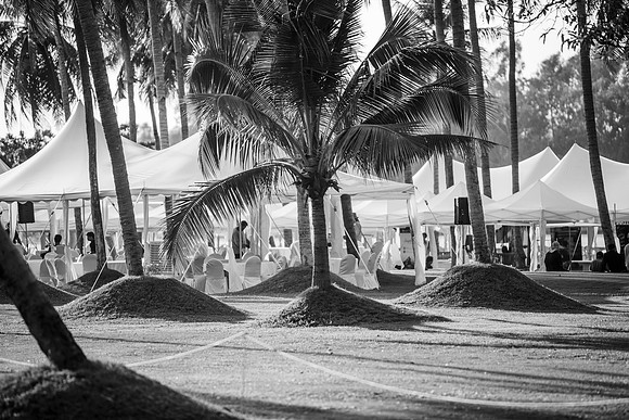 _44C0637