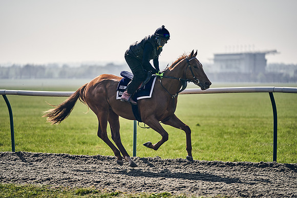 GEORGE-BOUGHEY-RACING-DJ-3338