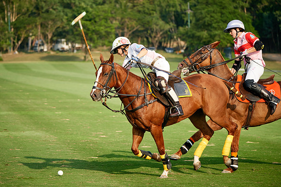 THAI-PINK-POLO-2019_DJ_2747