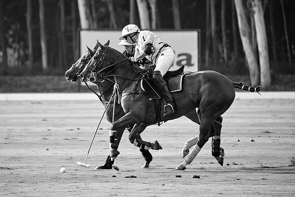 THAI-POLO-OPEN-2019_DJ_1038