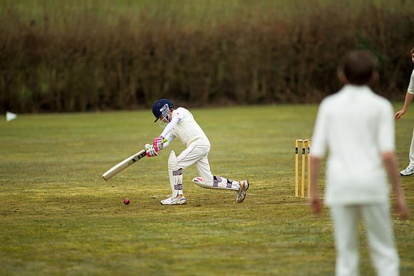 20130411-cricket-AG3A6715