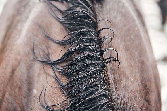 NATIONAL-STUD-27th-FEB-DJ-_DJ94969.ARW-6123