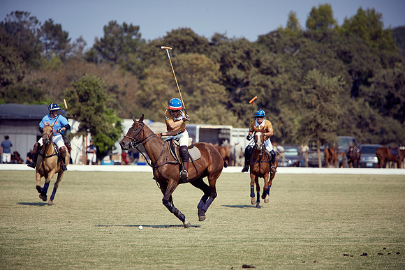 Oyster Cup Polo tournament