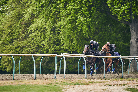NEWMARKET-GALLOPS-25th-APRIL-DJ-0080