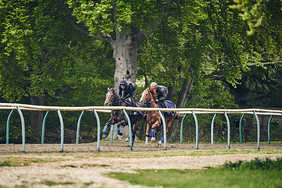 NEWMARKET-GALLOPS-25th-APRIL-DJ-0078