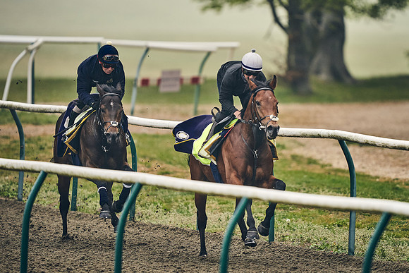 NEWMARKET-GALLOPS-24nd-APRIL-DJ-0345