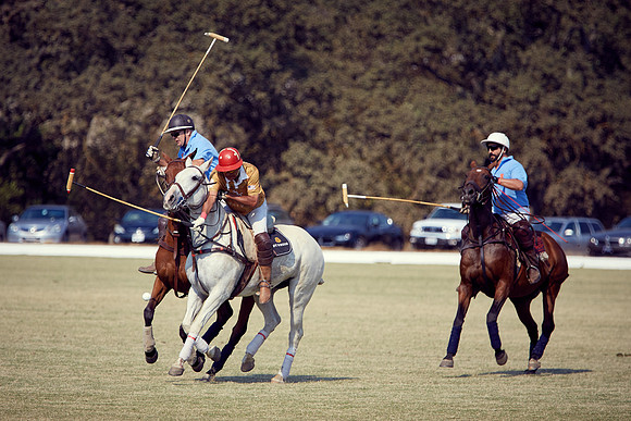 Oyster Cup Polo tournament