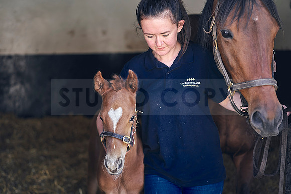 The-National-Stud-Dominic-James_DOM9783