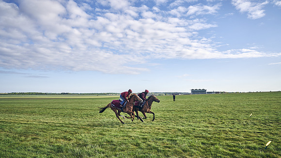 SUMMER GALLOPS-2nd-May-DJ-1783