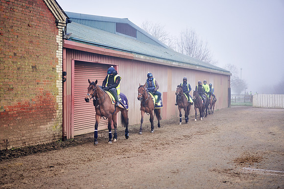 2021-01-09-Dominic-James-8031