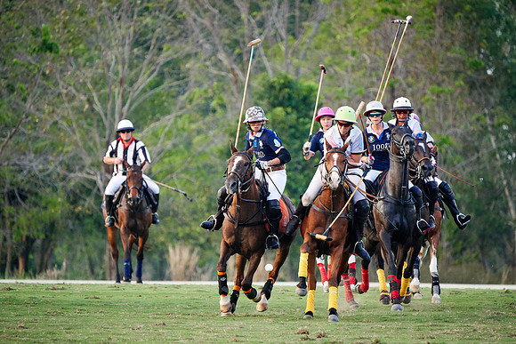 THAI-PINK-POLO-2019_DJ_5564