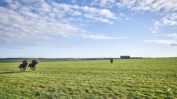 SUMMER GALLOPS-2nd-May-DJ-1711