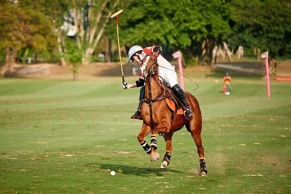 THAI-PINK-POLO-2019_DJ_2923