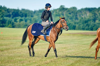 1st June 22 Racecourse Side 004