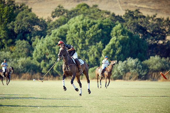 Oyster Cup Polo tournament