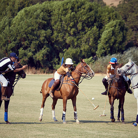 Oyster Cup Polo tournament