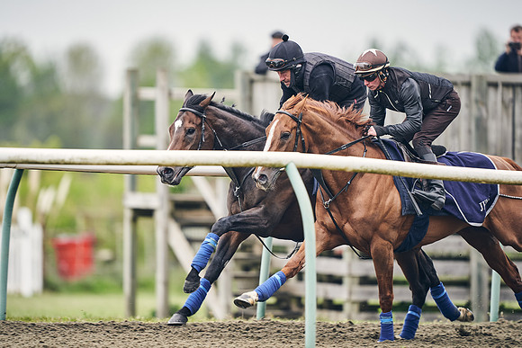 NEWMARKET-GALLOPS-25th-APRIL-DJ-0098