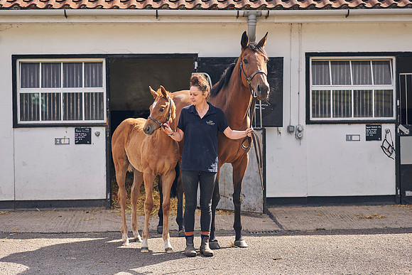 The-National-Stud-Dominic-James_DOM9524