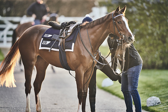 GEORGE-BOUGHEY-RACING-DJ-2511