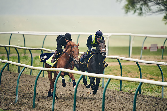 NEWMARKET-GALLOPS-24nd-APRIL-DJ-0242
