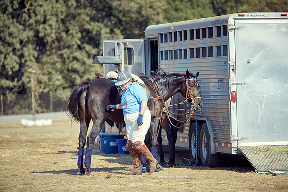 Oyster Cup Polo tournament