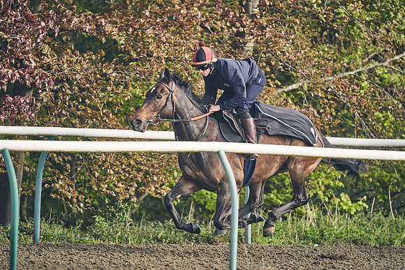 NEWMARKET-GALLOPS-24nd-APRIL-DJ-0578