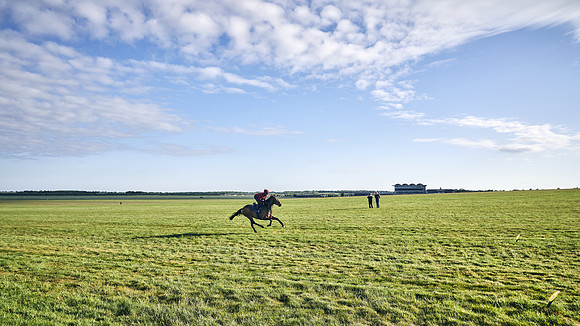SUMMER GALLOPS-2nd-May-DJ-1578