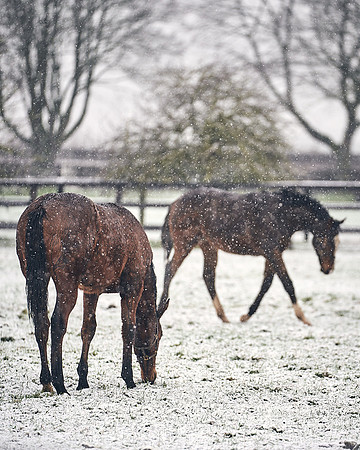 NATIONAL-STUD-27th-FEB-DJ-_DJ94507.ARW-5661