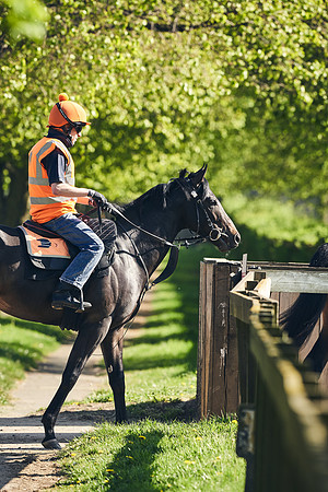NEWMARKET-GALLOPS-22nd-APRIL-DJ-3923