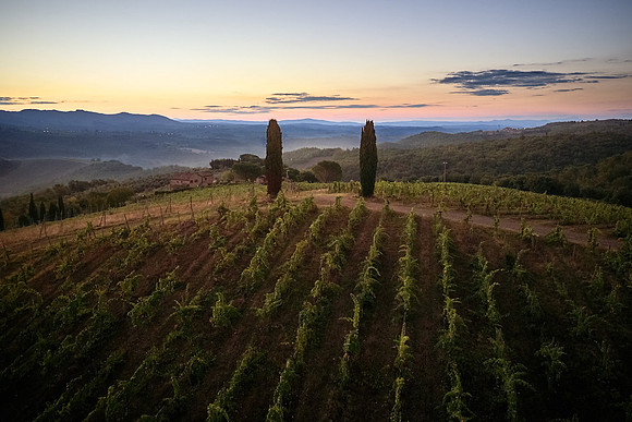 DJI_0266.DNG