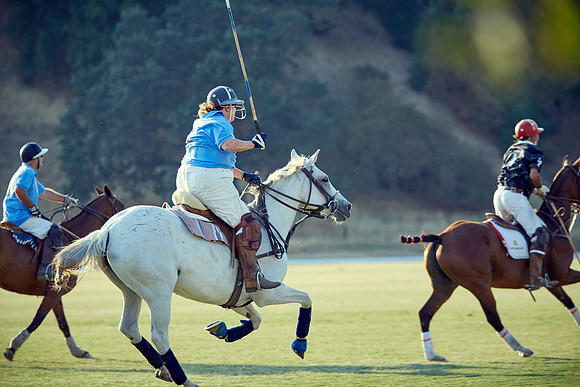 Oyster Cup Polo tournament