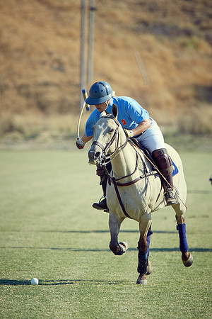 Oyster Cup Polo tournament