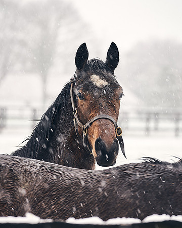 NATIONAL-STUD-27th-FEB-DJ-_DJ94319.ARW-5473
