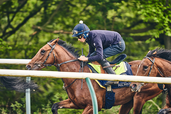 NEWMARKET-GALLOPS-24nd-APRIL-DJ-0456