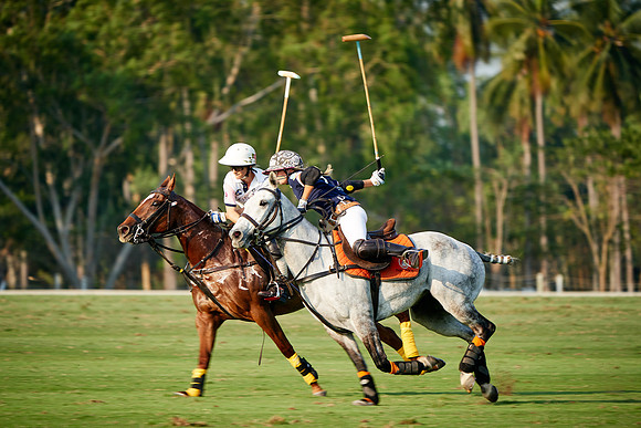 THAI-PINK-POLO-2019_DJ_5110