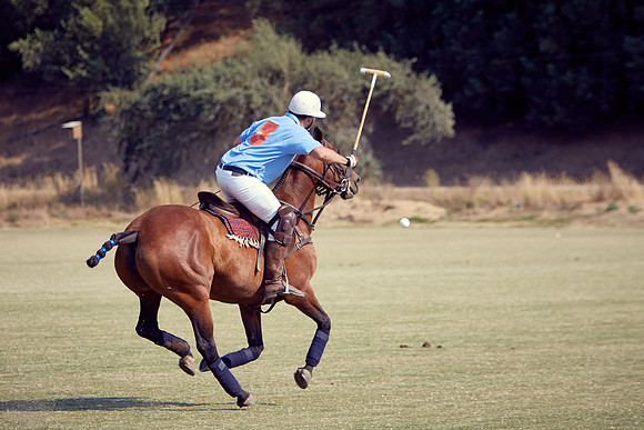 Oyster Cup Polo tournament