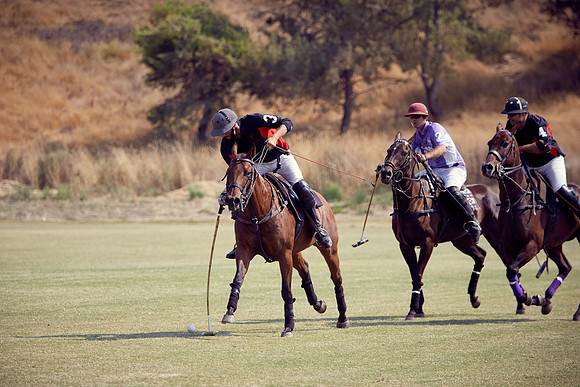Oyster Cup Polo tournament