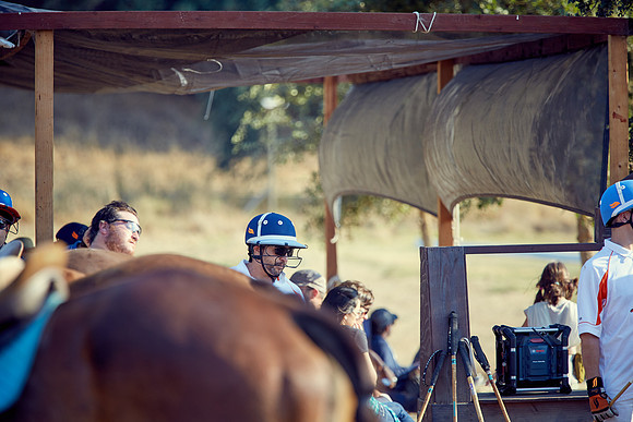 Oyster Cup Polo tournament