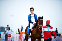 _DSC3310.ARW