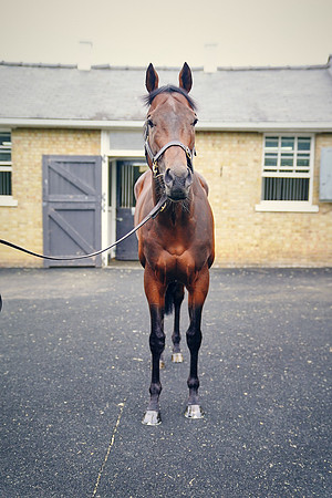 2021-07-23-Dominic-James-0069