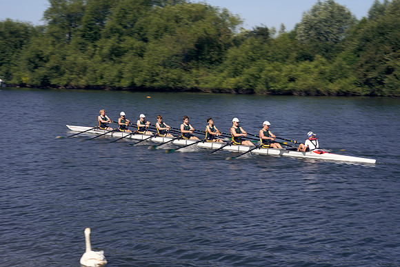 READING-TOWN-REGATTA_DJ_8440
