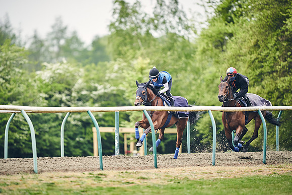 NEWMARKET-GALLOPS-25th-APRIL-DJ-0015