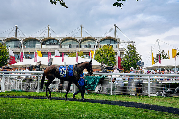QGF2022_DominicJames_20473