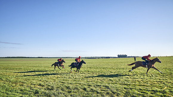 SUMMER GALLOPS-2nd-May-DJ-1432