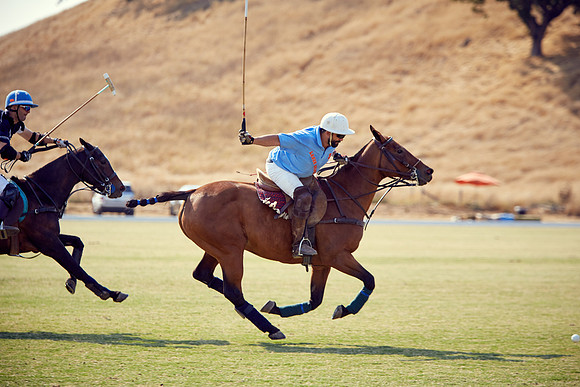 Oyster Cup Polo tournament