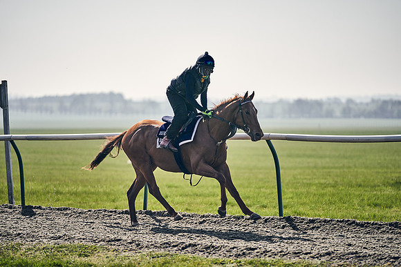GEORGE-BOUGHEY-RACING-DJ-3333